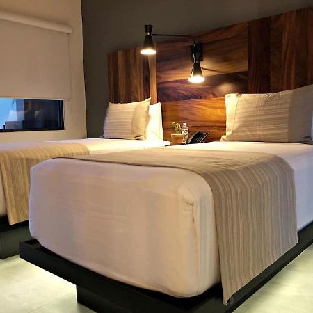 Unique Suite Twin Room In Exclusive Boutique Hotel Cabo San José del Cabo 外观 照片